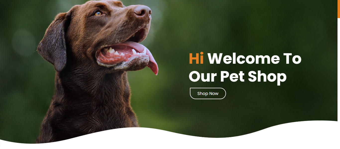 Website Design